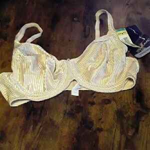 NWT Enhance 40C Sexy Striped Impressions Beige Unpadded underwire Beautiful Bra